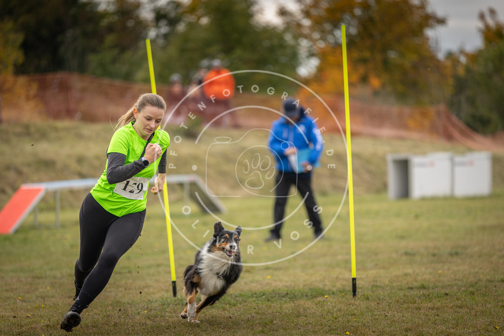 Pfotenfotografie_DV3A6868 | Hundefotografie, Tierfotograf, Pfotenfotografie, Fotoshooting Hund, Hunde Portrait, Hundesport, Hundeportraits, Heideshooting, Hunde, Sportfotograf, Hundefotograf, Turnierhundsport, THS,  - Realisiert mit Pictrs.com