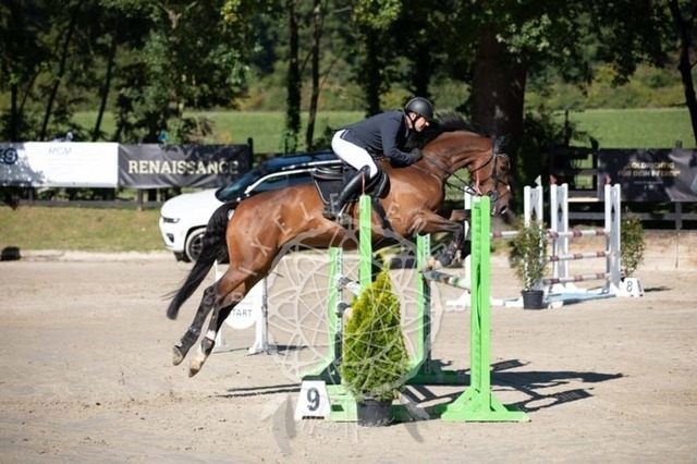 2B4A0590 | pixelfaenger - Realisiert mit Pictrs.com