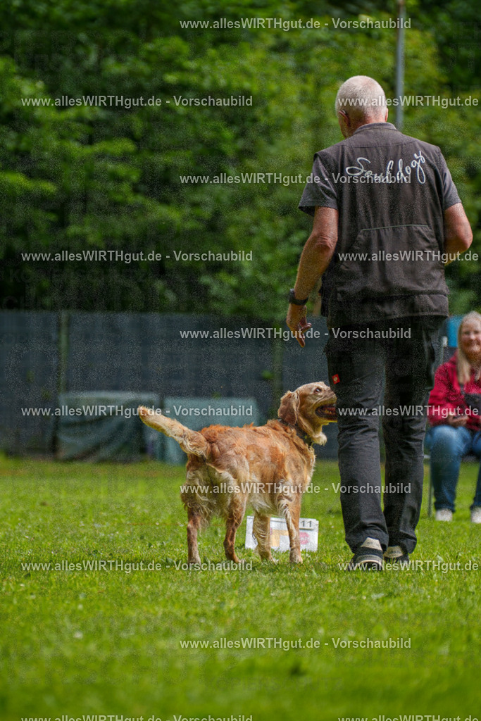 @allesWIRTHgut_Tierfotografie - www.allesWIRTHgut.de - 093239-7R507289 | Professionelle Tierfotografie in Mönchengladbach von Daniel Wirth (allesWIRTHgut). Liebevolle & natürliche Bilder von Hunden & Katzen für unvergessliche Erinnerungen.