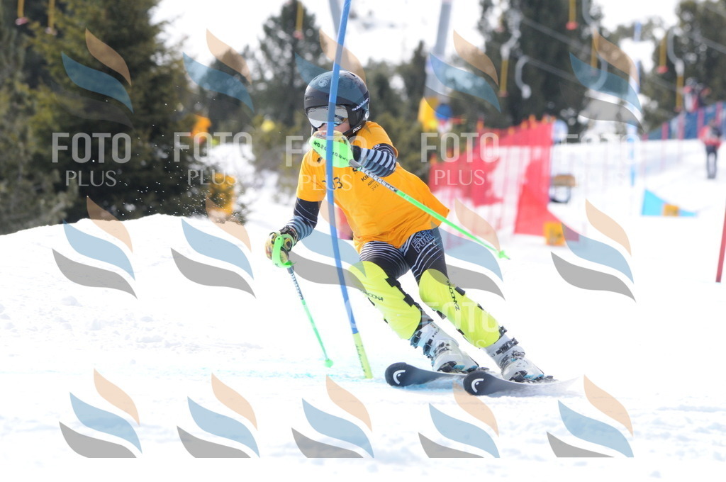 C7537 | holidayphoto