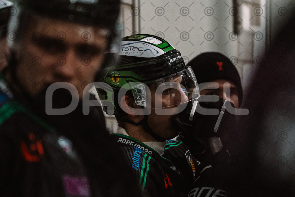 Alligators_vs_Erding_12_12_2025-094 | Höchstadt Alligators Fotogalerie: Eishockey-Action aus Franken. Professionelle Spielfotos, Portraits & Stadionbilder zum Download. Jetzt entdecken! - Realisiert mit Pictrs.com