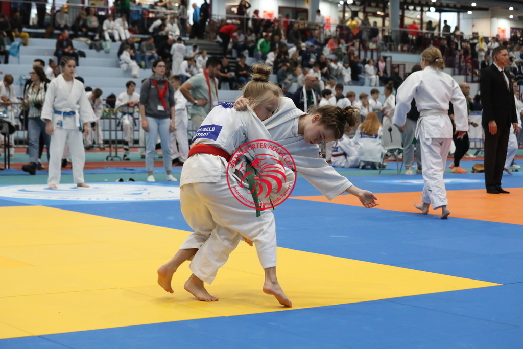 1J7A2717 | Fotos vom Adler Cup - Pictures from Adler Cup

Hier findet Ihr alle Eindrücke und großen Momente der Adler Cup Wochenenden. Here you will find all impressions and great moments of the Adler Cup weekends. - Realisiert mit Pictrs.com