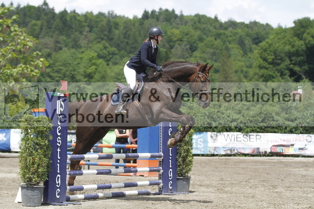 _MG_5234 | equestrian-live-com