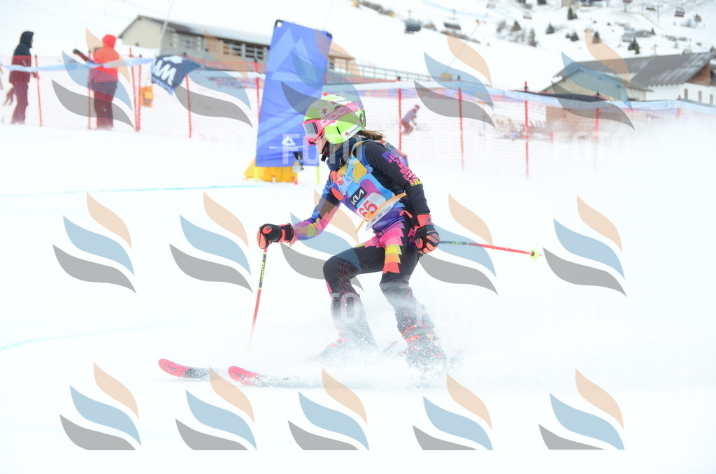 DSC_1033 | holidayphoto