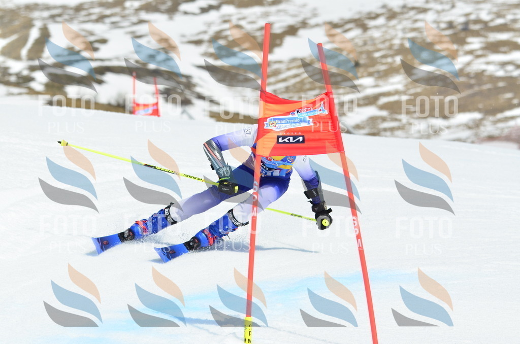 _ELE2078 | holidayphoto