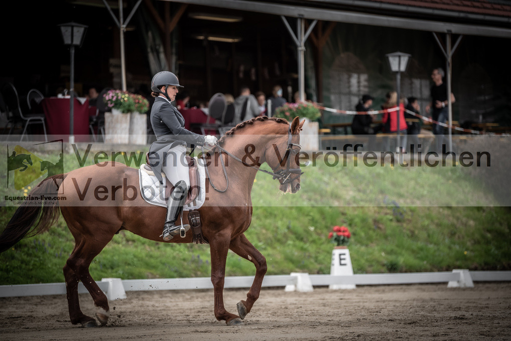 DSC_2561 | equestrian-live-com
