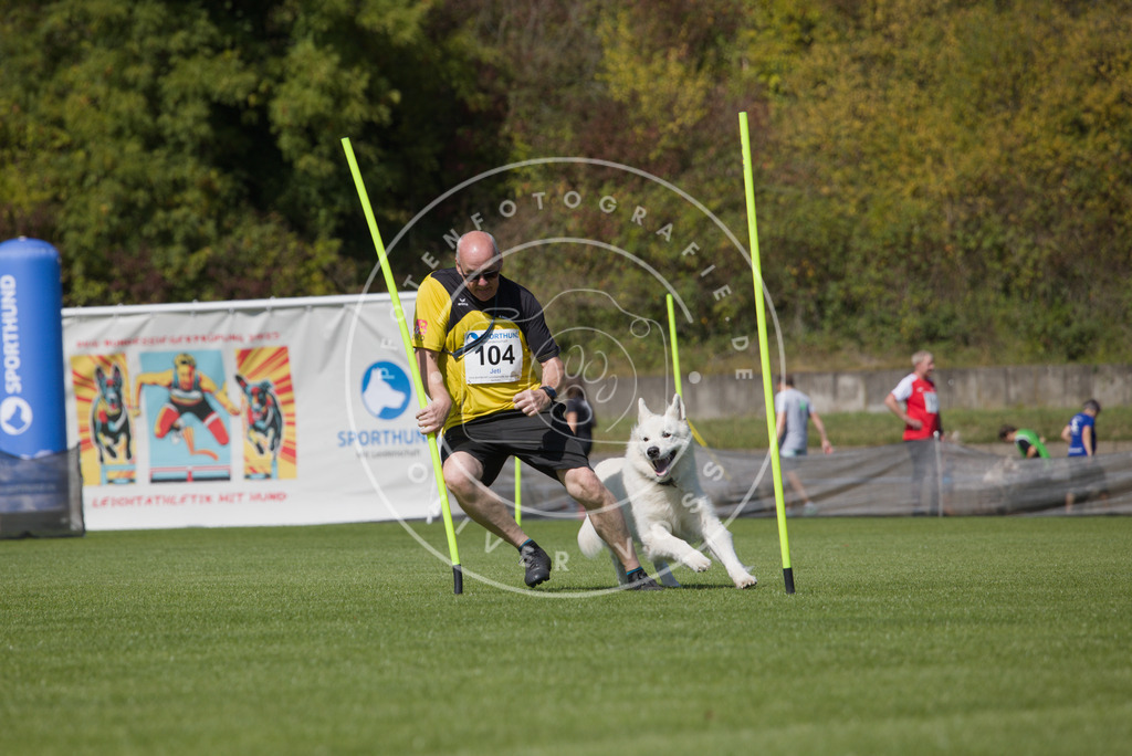 0L8A2613 | Hundefotografie, Tierfotograf, Pfotenfotografie, Fotoshooting Hund, Hunde Portrait, Hundesport, Hundeportraits, Heideshooting, Hunde, Sportfotograf, Hundefotograf, Turnierhundsport, THS,  - Realisiert mit Pictrs.com