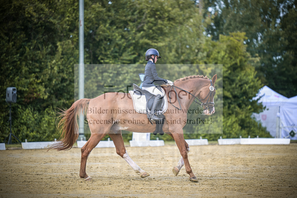 DOS_5871 | Entdecke hochwertige Reitturnierfotos von Foto Oger. Professionell, emotional und authentisch – jetzt Lieblingsmomente im Shop bestellen.Deutschlandweite Turnierfotografie. - Realisiert mit Pictrs.com