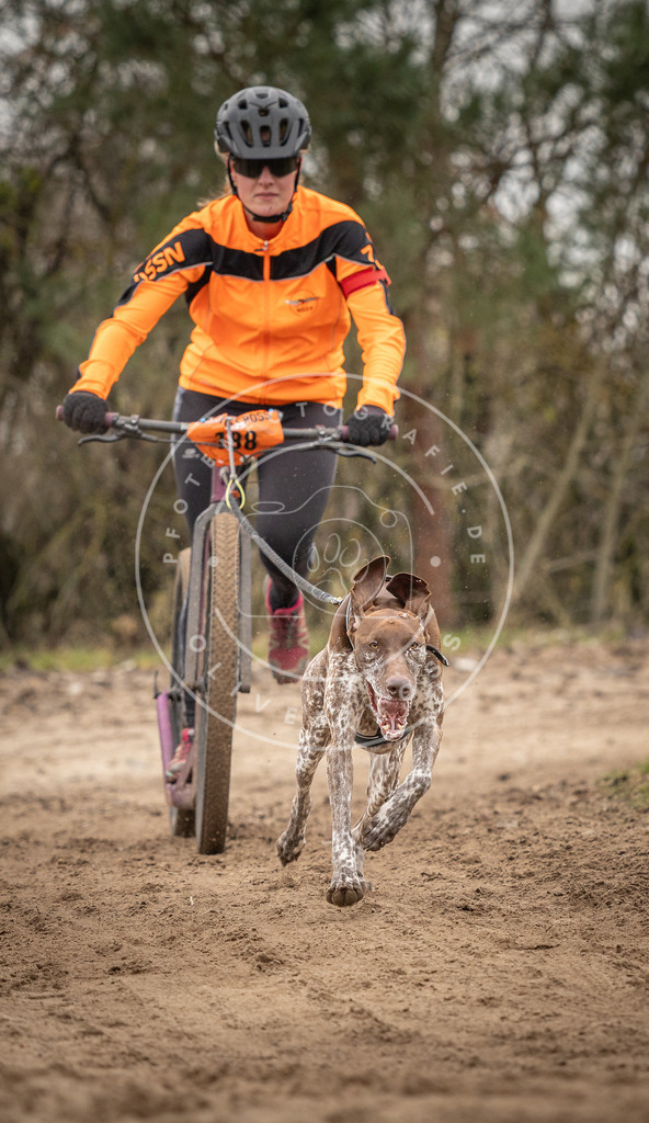 Pfotenfotografie_DV3A9862 | Hundefotografie, Tierfotograf, Pfotenfotografie, Fotoshooting Hund, Hunde Portrait, Hundesport, Hundeportraits, Heideshooting, Hunde, Sportfotograf, Hundefotograf, Turnierhundsport, THS,  - Realisiert mit Pictrs.com