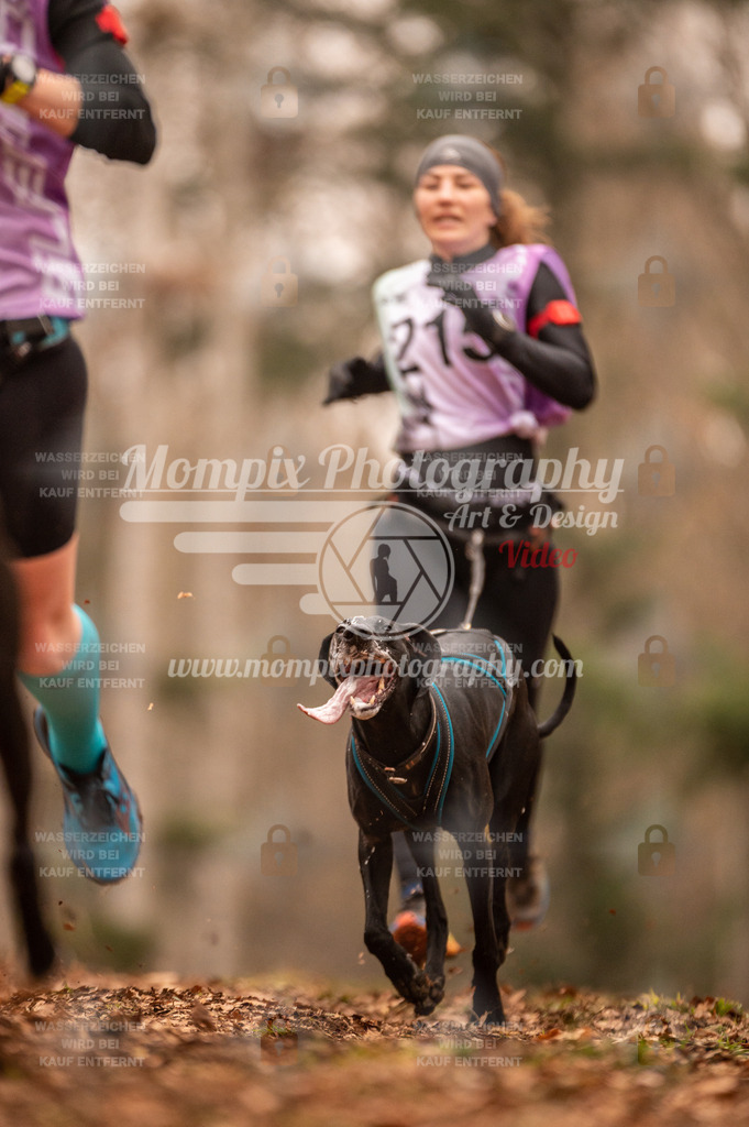 AKM_ST_2023_SAM_Run-29 | PayLife