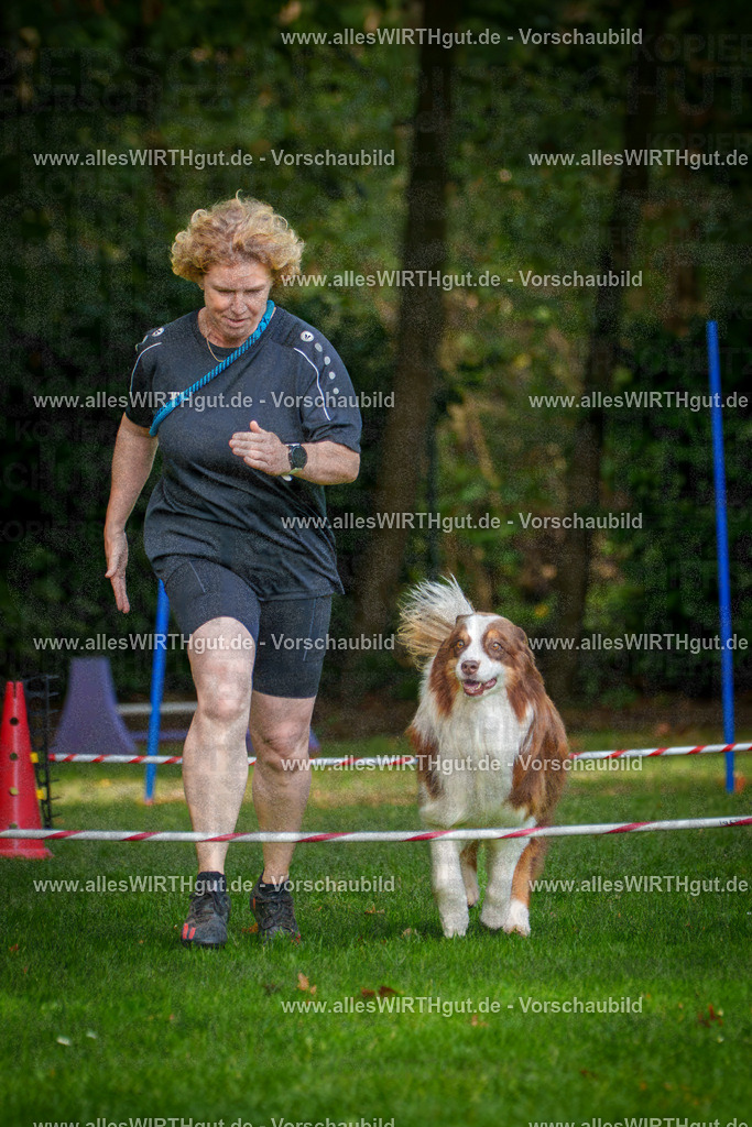 THS_Turnier_27-09-2026-allesWIRTHgut_Tierfotografie-7R506895 | Professionelle Tierfotografie in Mönchengladbach von Daniel Wirth (allesWIRTHgut). Liebevolle & natürliche Bilder von Hunden & Katzen für unvergessliche Erinnerungen.