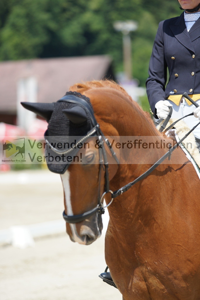 DSC05104 | equestrian-live-com