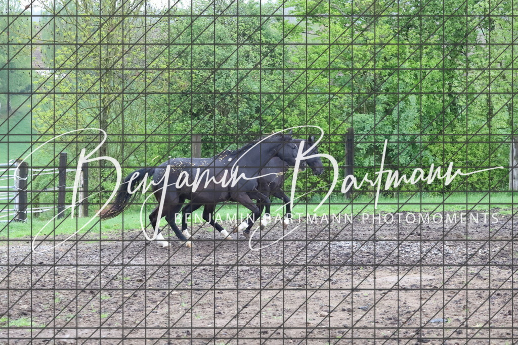 IMG_4248 | Benjamin Bartmann Photomoments