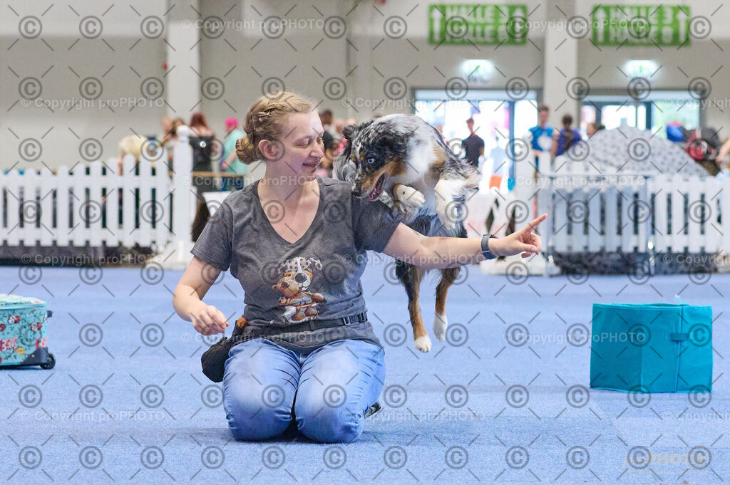 202406_ÖKV-IHA-Tulln24_DSC_4561 | proPHOTO - Realisiert mit Pictrs.com