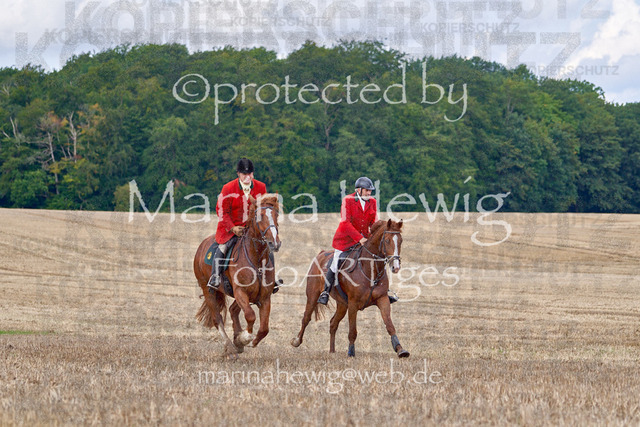 08-23 Bredeneek Jagd_MCH8901_Marina Hewig | Fotografie, FotoArt, PferdesportArt, Pferdesportfotografie, Landschaftsfotografie, Reisefotografie, Reise, Pferde - Realisiert mit Pictrs.com