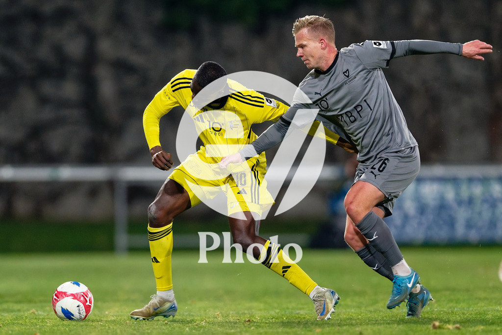 dieci Challenge League - FC Stade Nyonnais v FC Vaduz |  during the dieci Challenge League match between FC Stade Nyonnais and FC Vaduz at Centre sportif de Colovray in Nyon, Switzerland