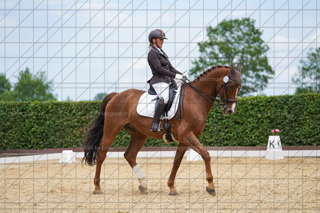 20240630-FAH02101 | Turnierbilder Schwabmünchen, Dressurbilder, Springreitturnier, Reitsportbilder, Turnierfotografen Bayern, Turnierfotograf