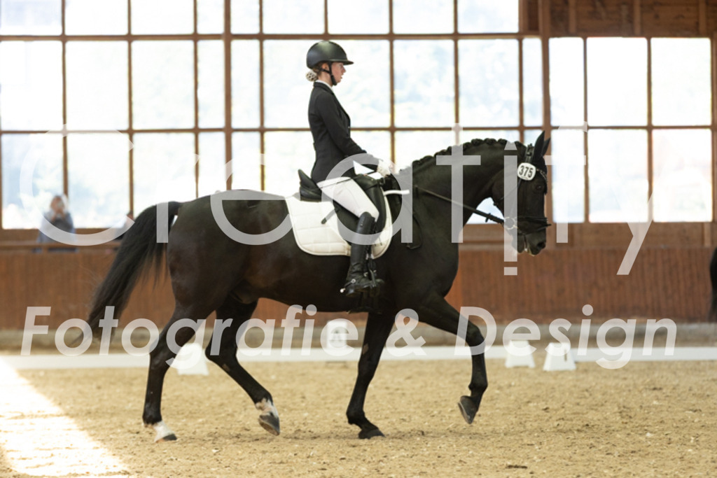 IMG_4919 | Creatify Fotografie