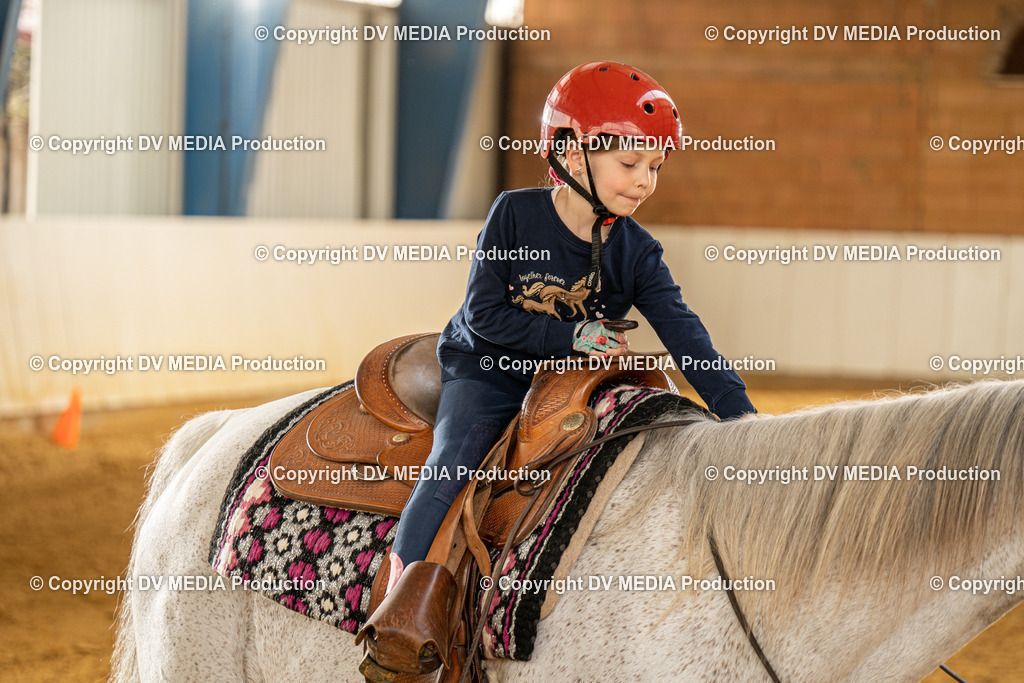 MIT01201 | dv-media-shop - Realisiert mit Pictrs.com