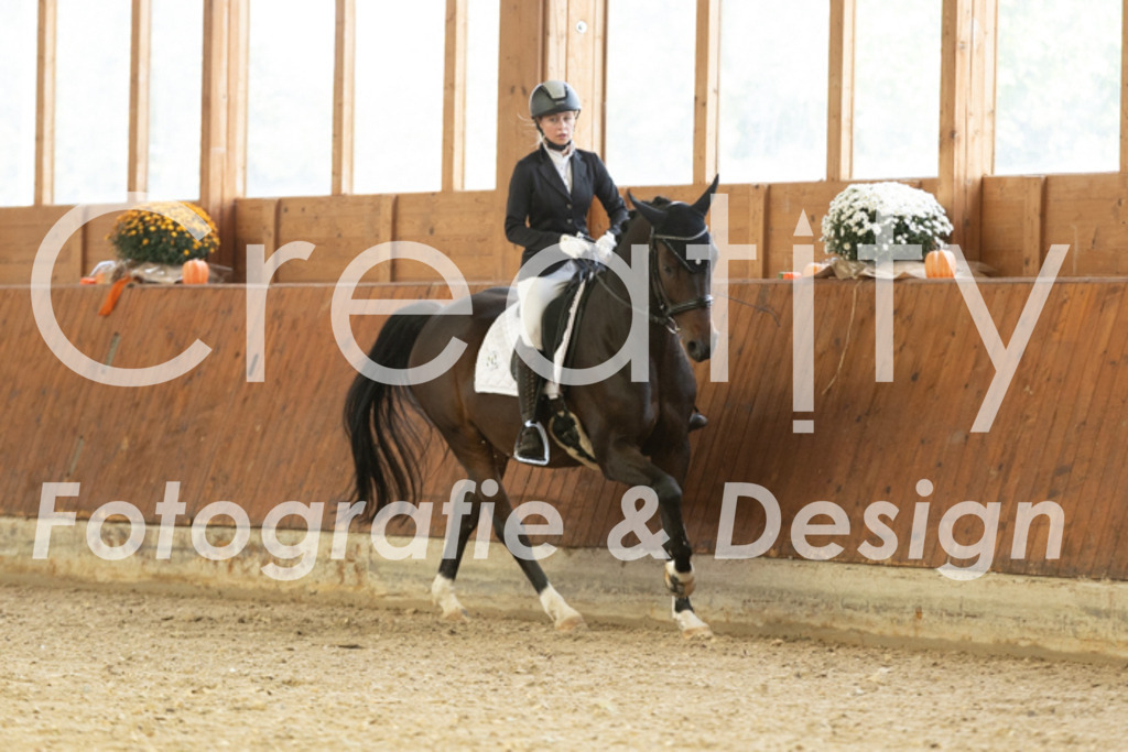 IMG_1196 | Creatify Fotografie