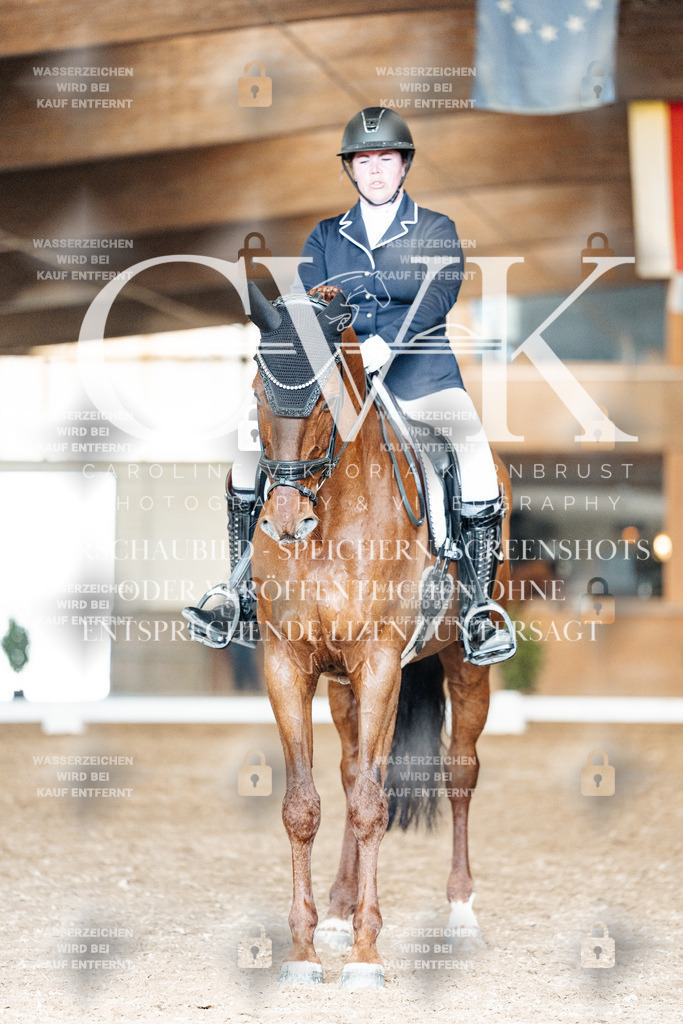 CK901702 | Turnierfotografie Pferdefotografie Trier Rheinland-Pfalz Pferdesport Reitsport Tierfotografie Sportfotografie Pferdevideo Pferdevideografie Equestrianvideography equestrianphotography  - Realisiert mit Pictrs.com