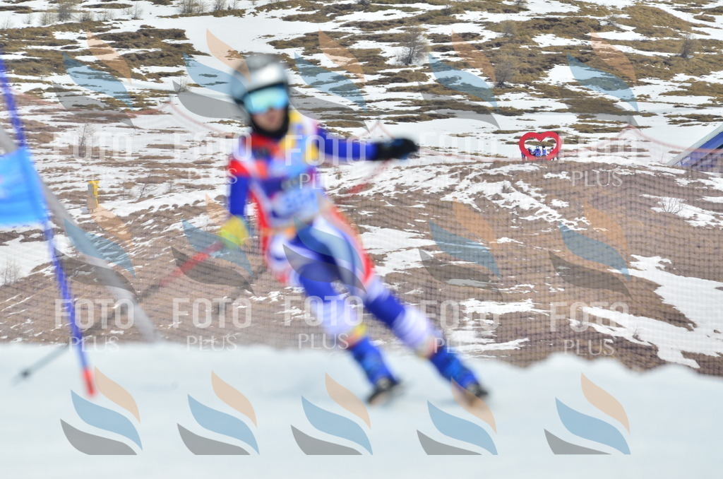 _ELE2723 | holidayphoto