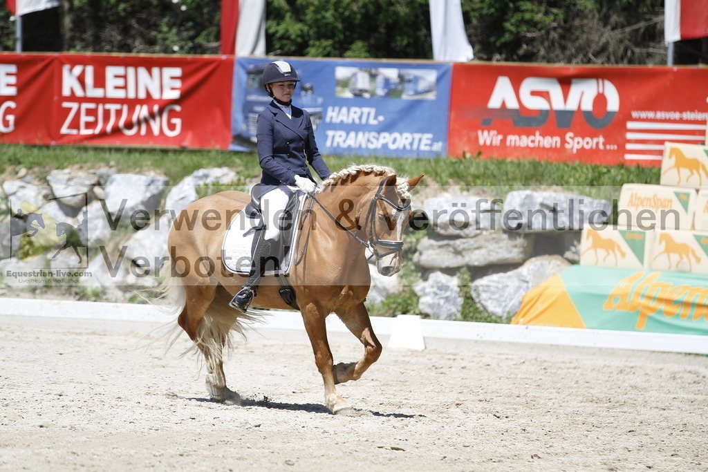 _MG_5087 | equestrian-live-com