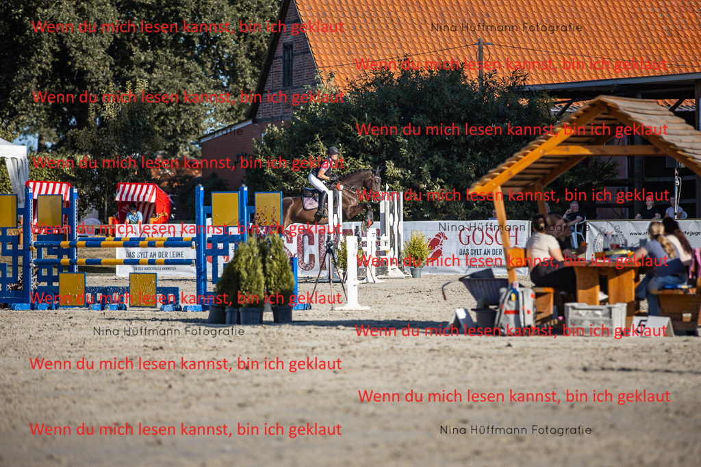 BK1A7724 | Turnierbilder Turnierfotos Nina Hüffmann Turnierfotografie Pferdefotografie Tierzeichnung Haustierzeichnung Pferdezeichnung Hundezeichnung Videograf  - Realisiert mit Pictrs.com