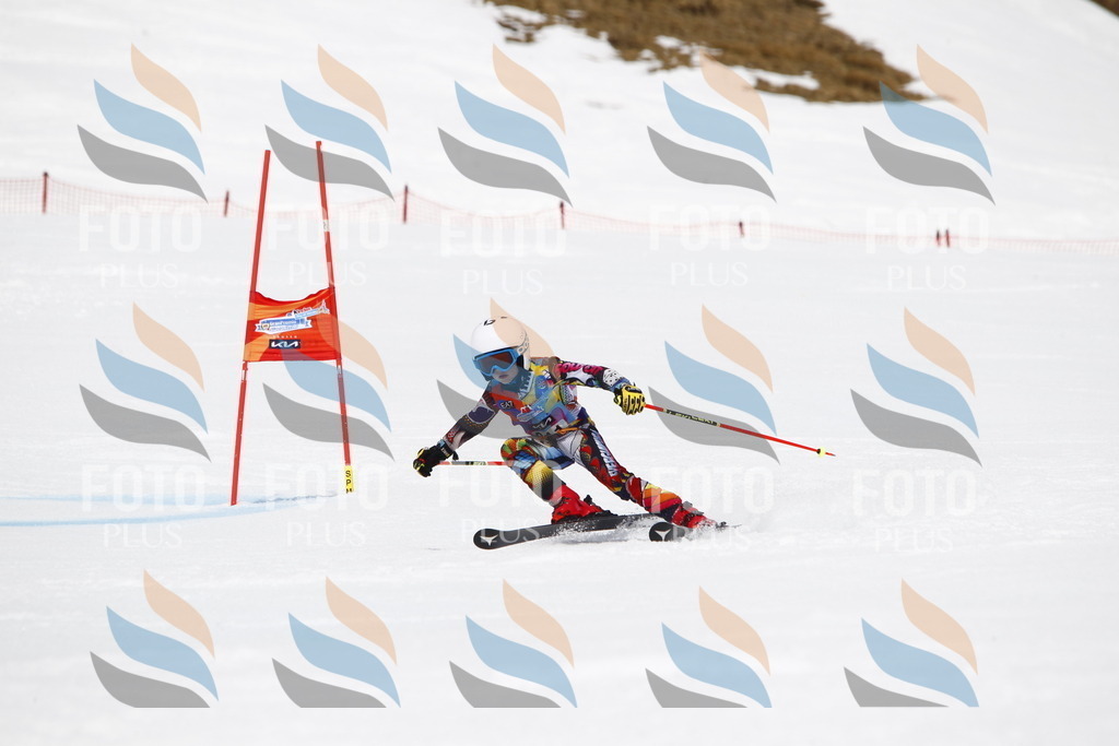 _U3G7726 | holidayphoto