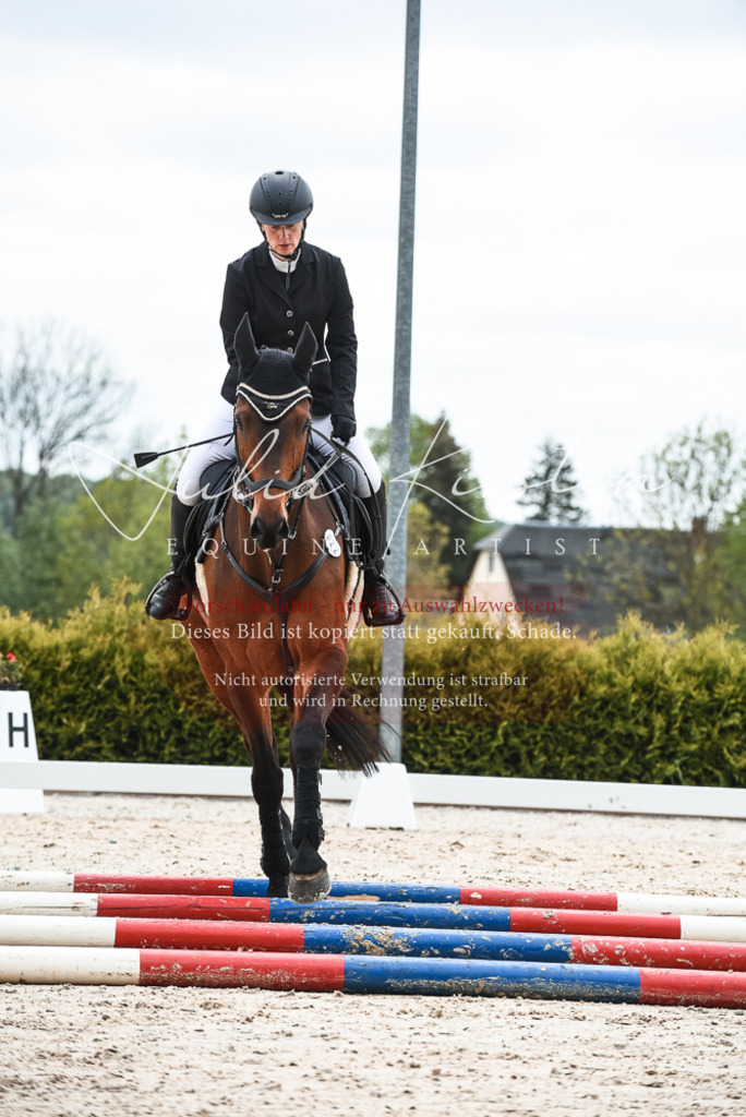 20230518_JK-Röhrsdorf-10-328 | Pferde- und Turnierfotografie in Westsachsen. Pferdeportraits, Auftragszeichnungen und intuitive Kunst.