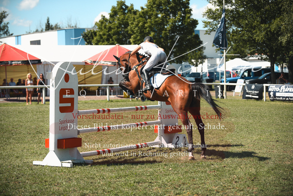 DSC_7024 | Pferde- und Turnierfotografie in Westsachsen. Pferdeportraits, Auftragszeichnungen und intuitive Kunst.