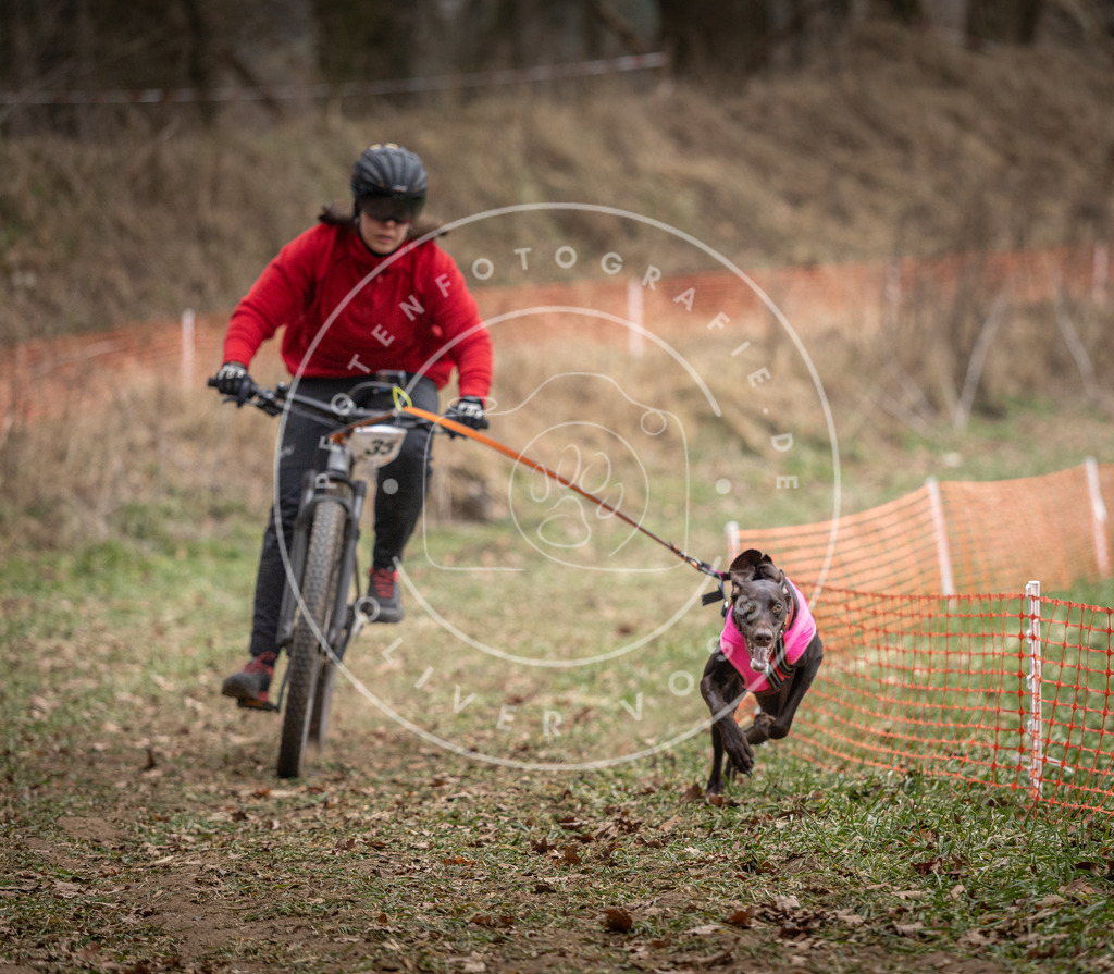 Pfotenfotografie_DV3A5123 | Hundefotografie, Tierfotograf, Pfotenfotografie, Fotoshooting Hund, Hunde Portrait, Hundesport, Hundeportraits, Heideshooting, Hunde, Sportfotograf, Hundefotograf, Turnierhundsport, THS,  - Realisiert mit Pictrs.com
