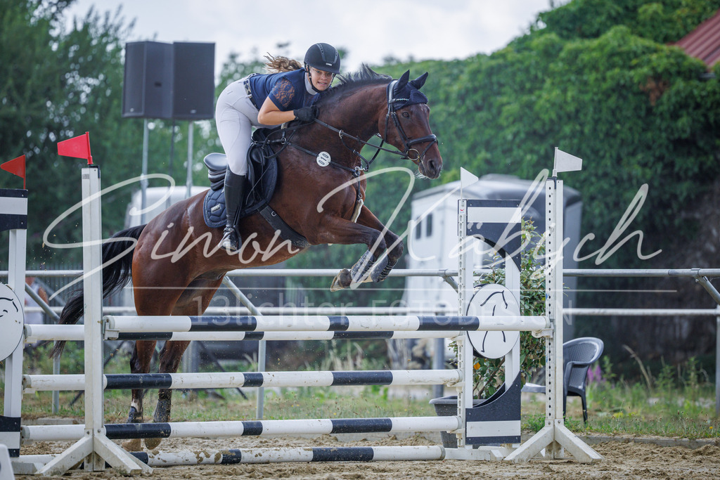 20260705-_3LI4477 | Tierfotografie Pferde, Hunde, Katzen, Haustiere.
Turnierfotografie Reitturniere, Reiten, Springreiten, Dressur in Hanau, dem Main-Kinzig-Kreis und dem Rhein-Main- Gebiet um Frankfurt