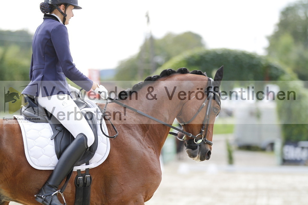 _MG_9025 | equestrian-live-com