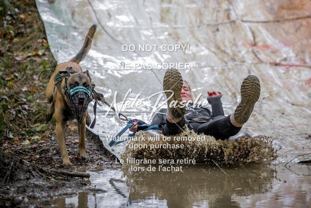 nelerasche_Hunsrück_Sa1430-1500_09-final | nelerasche