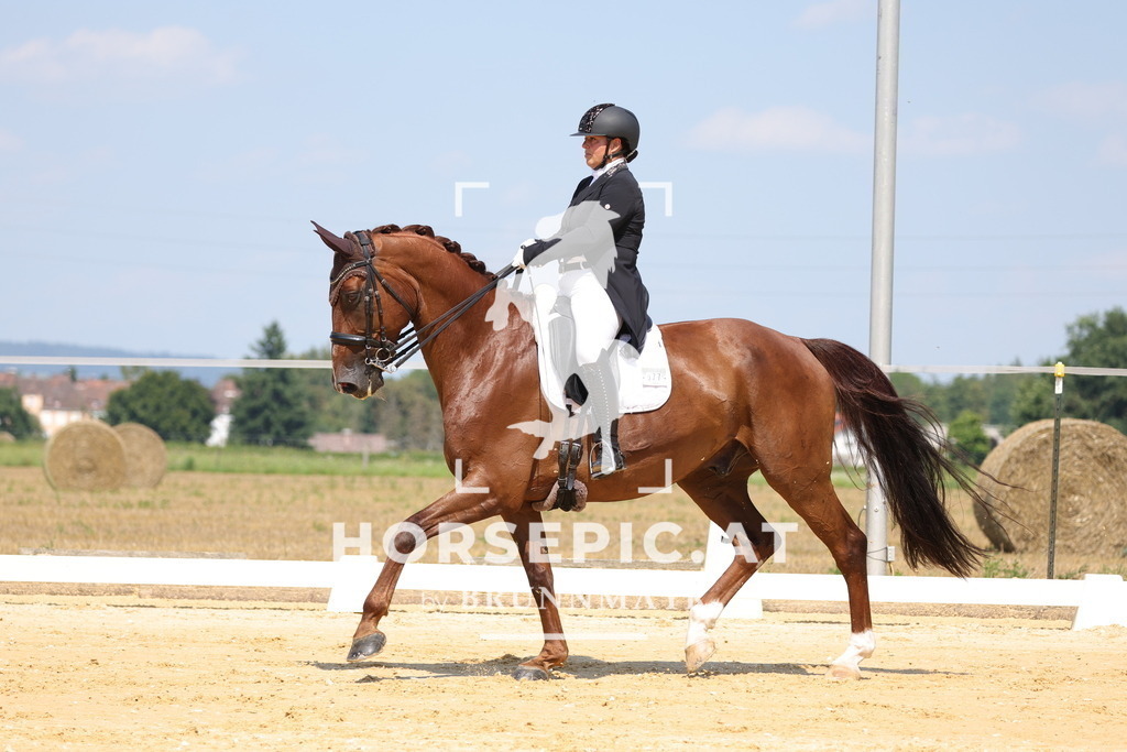0P6A7356 | Willkommen bei Brunnmayr - Design & Fotografie – Ihrem Spezialisten für Reitturniere und Pferdeveranstaltungen in Oberösterreich, Salzburg und Bayern! Seit über 17 Jahren sind wir leidenschaftlich dabei.