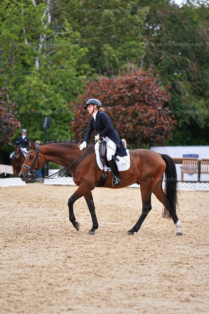 6-001-AMATUER-DRESSUR S_  -Marixx-3732 | working equitationturnier fotograf videograf stoibphotography marixx film working equitation deutschland reitsport turnierfotografie eventfotografie equestrian events