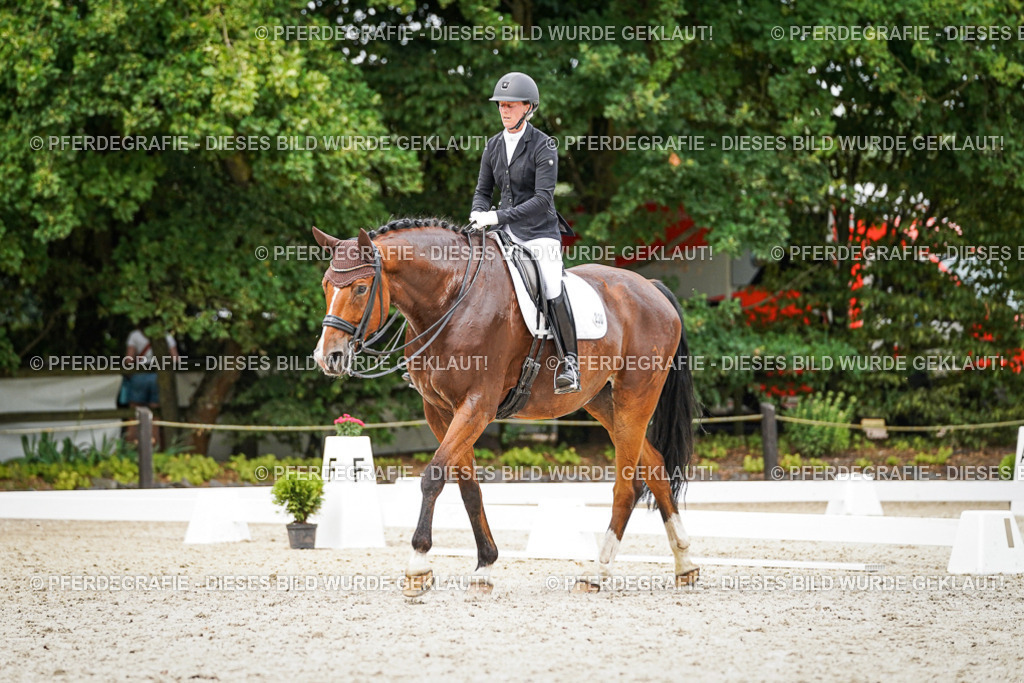 DSC06558 | Pferdegrafie