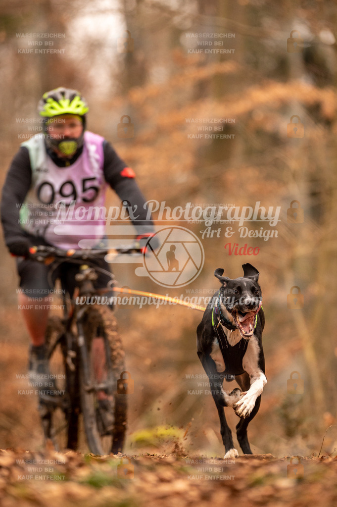 AKM_ST_2023_SAM_Bike-96 | PayLife