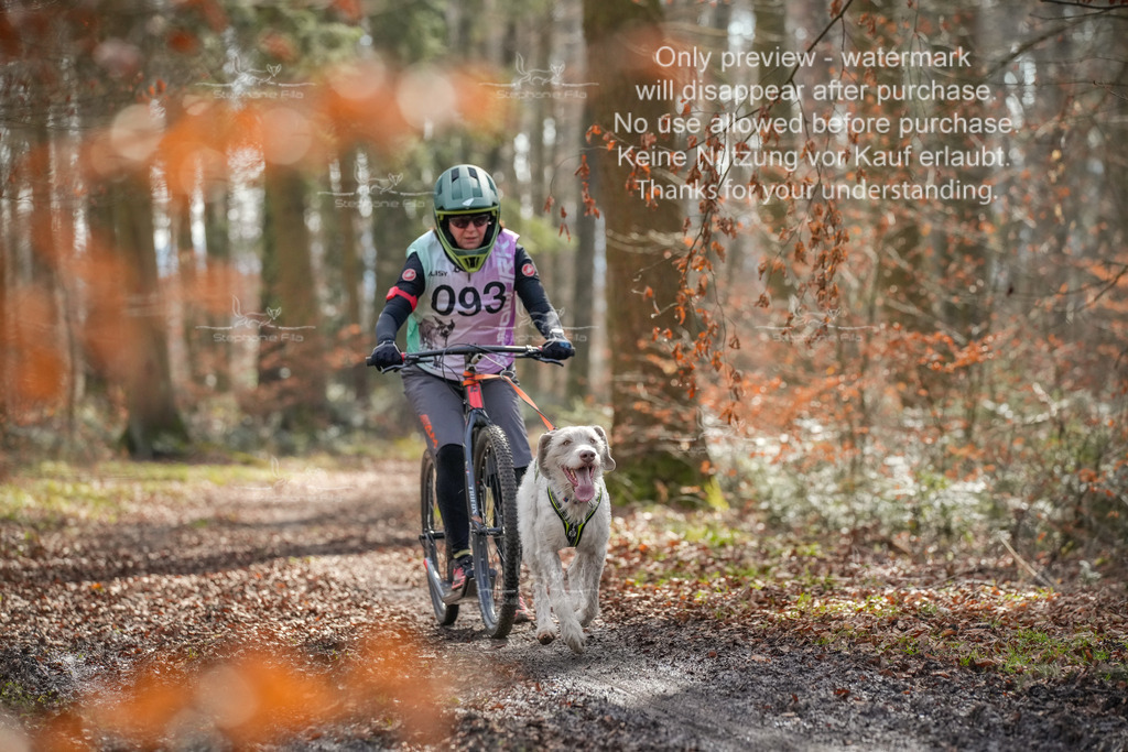 So_Scooter1-100 | stephaniefillaphotographie - Realisiert mit Pictrs.com