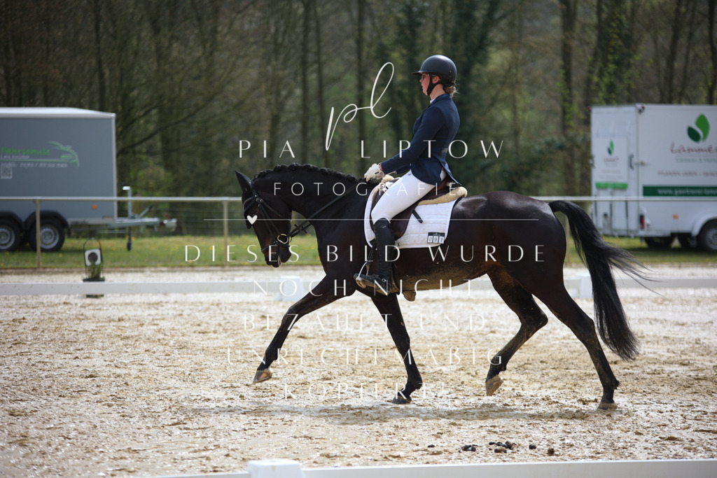 IMGT2702 | pl-fotografie