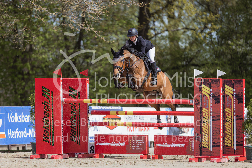 230501_SpengeW_M2St-207 | Deine schönsten Turniermomente als professionelle Fotos! Entdecke hochwertige Pferdesport-Fotografie im Online-Shop. Jetzt Fotos finden & bestellen!