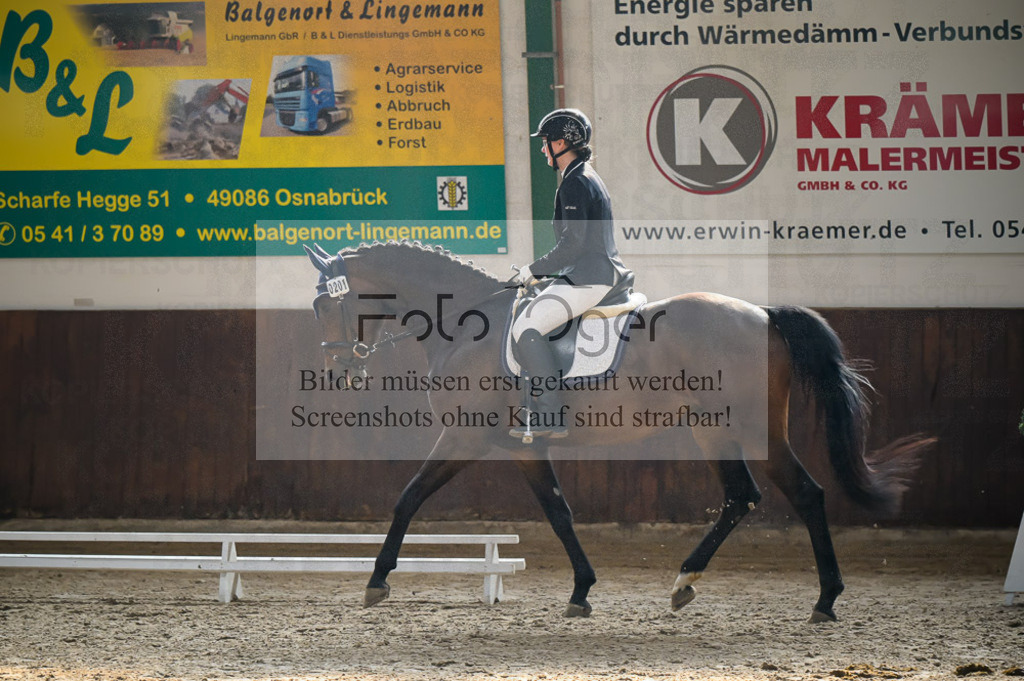 Reitturnier Voxtrup | Entdecke hochwertige Reitturnierfotos von Foto Oger. Professionell, emotional und authentisch – jetzt Lieblingsmomente im Shop bestellen.Deutschlandweite Turnierfotografie. - Realisiert mit Pictrs.com