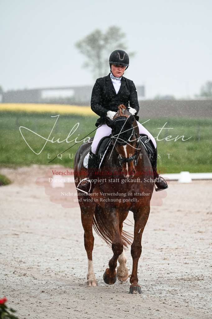 DSC_4094 | Pferde- und Turnierfotografie in Westsachsen. Pferdeportraits, Auftragszeichnungen und intuitive Kunst.