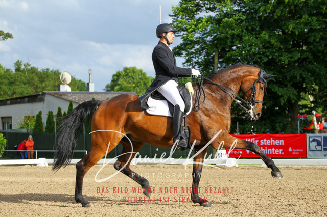 DKP41759 | Turnierfotos kaufen im Webshop von Daniel Kuhl Photography – entdecke professionelle Reitsportfotos aus Turnieren & Events. Hochwertige Turnierbilder online bestellen & sichern. Jetzt Fotos von Reitsportturnieren kaufen!