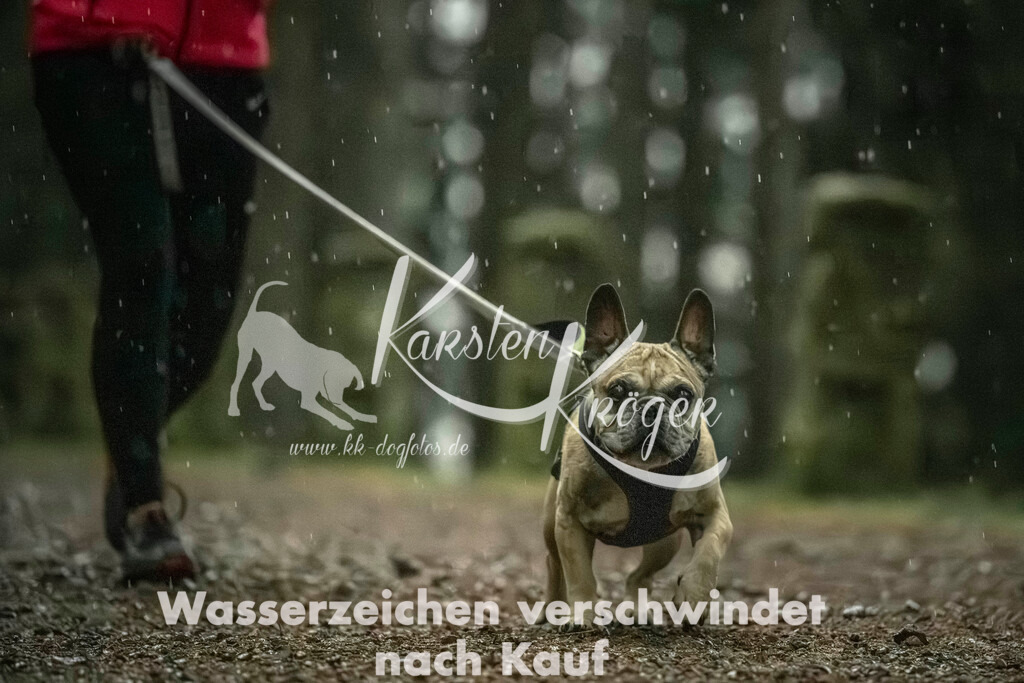 0836_ZZ92118 | kk-dogfotos