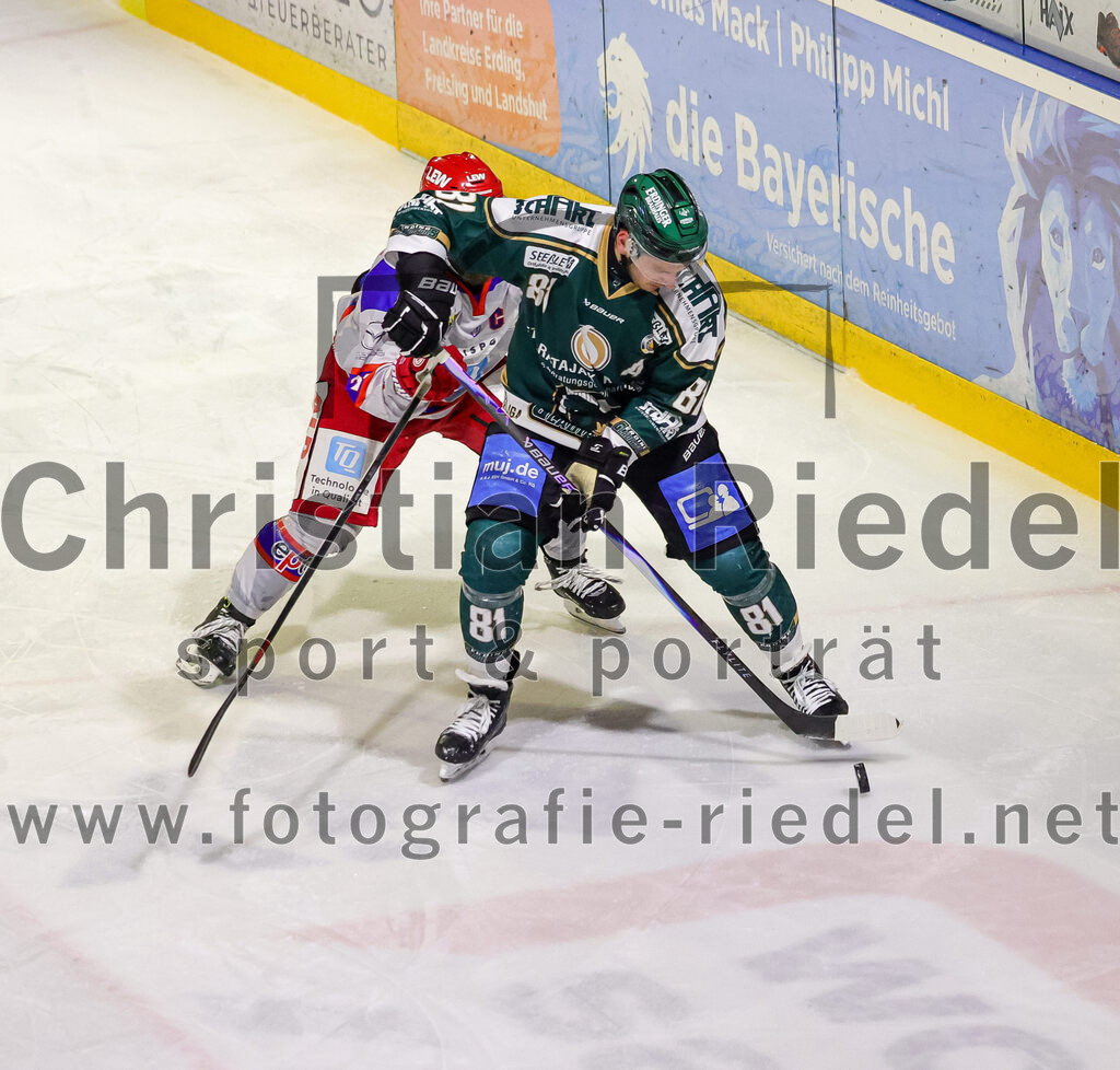 2026-02-15_047_TSV_Erding_gegen_EC_Peiting | Erding, Deutschland, 15.02.2026:Eishockey, Oberliga Süd 2025 / 2026, 47. Spieltag, TSV Erding gegen EC Peiting, Endergebnis: 4:5Maximilian Forster (Erding Gladiators, #81)Foto: Christian Riedel / fotografie-riedel.net