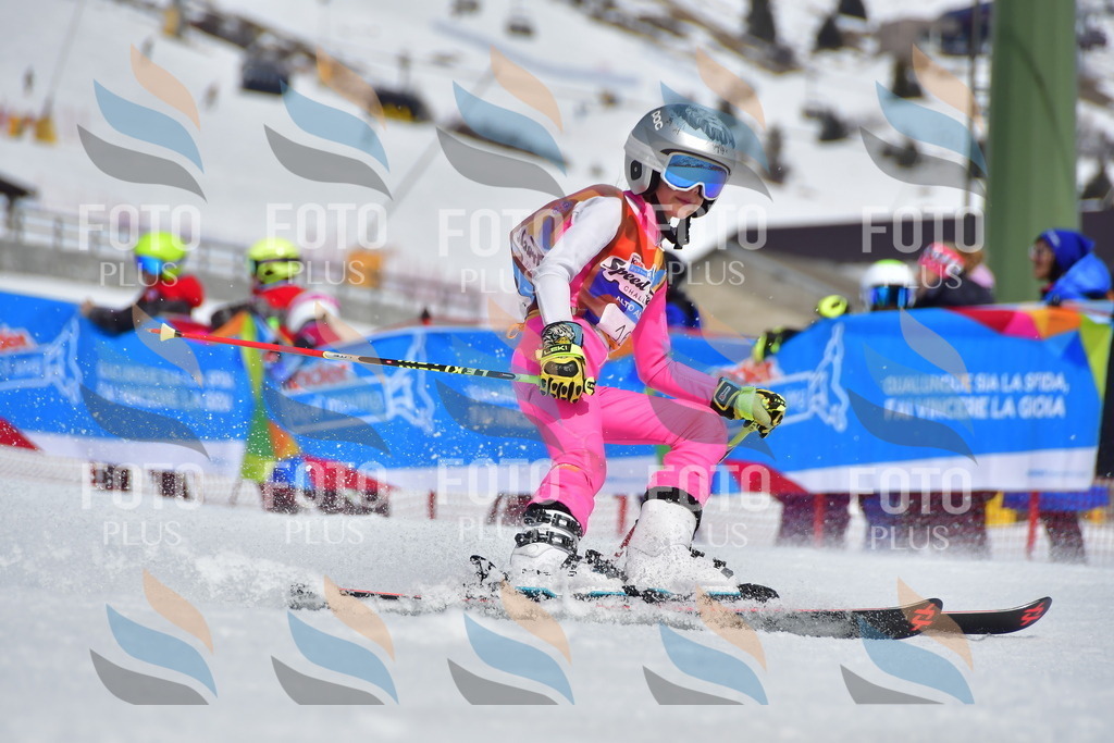 _DSC6802 | holidayphoto