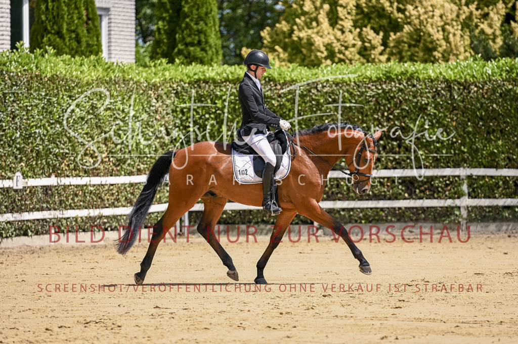 Schugtsche-Aluta25-48.Reitpferfdeprf.-239 | Schugtsche Fotografie - Realisiert mit Pictrs.com