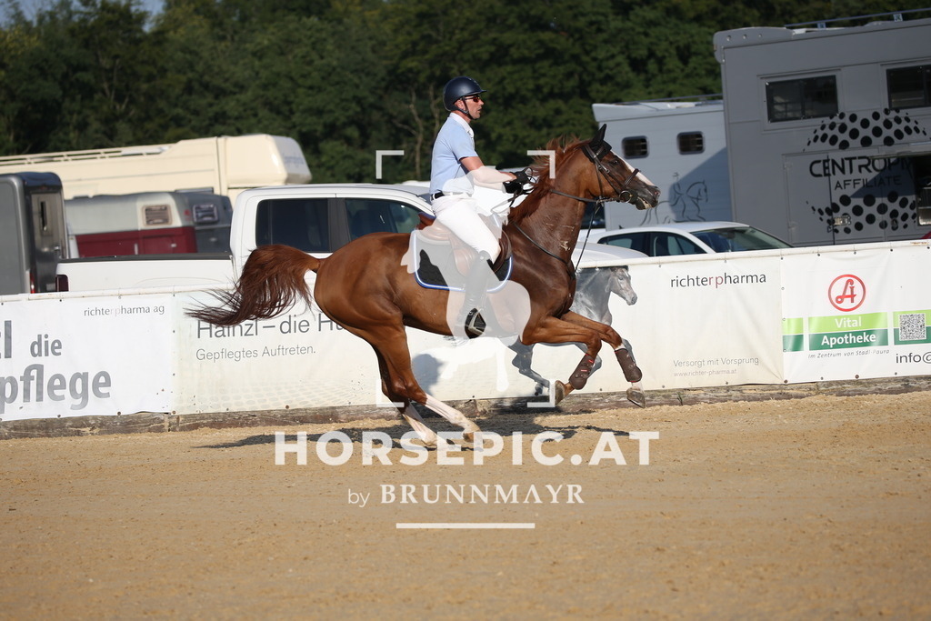 DL2Q5640 | Willkommen bei Brunnmayr - Design & Fotografie – Ihrem Spezialisten für Reitturniere und Pferdeveranstaltungen in Oberösterreich, Salzburg und Bayern! Seit über 17 Jahren sind wir leidenschaftlich dabei.
